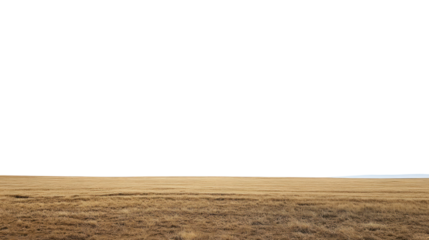 A vast and serene field with golden grass under a clear blue sky, showcasing the beauty of nature and open spaces.