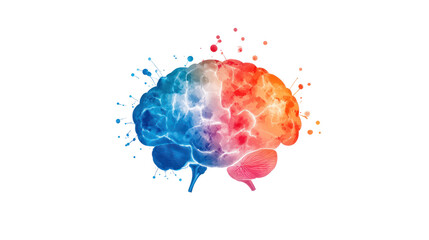 A vibrant illustration of a human brain in colorful shades of blue and red, representing creativity and intelligence on a white isolated background.