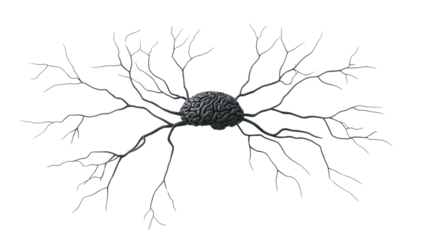 Artistic representation of a brain with intricate neural connections, showcasing the complexity of human thought and cognition, isolated on a white background.