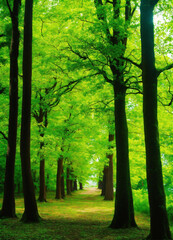 Obraz premium autumn in the park