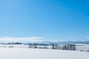 北海道冬の美瑛の風景14