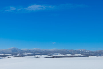 Fototapeta premium 北海道冬の美瑛の風景15