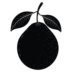 Guava Silhouette Vector Illustration