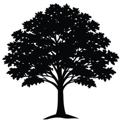 Tamarind Silhouette Vector Illustration