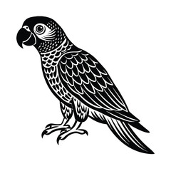 illustration of a bird