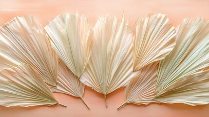 Dried Palm Leaves Arranged on Peach Background