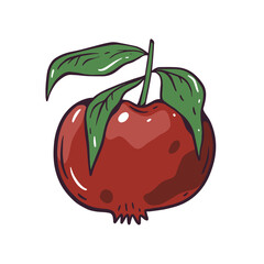 Hand-Drawn Pomegranate Illustration Featuring Vibrant Green Leaves for Artistic Appeal