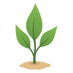 Green Plant Growth Illustration – Nature and Sustainability Concept