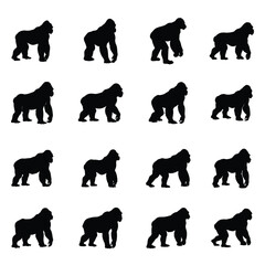 A set of gorilla vector silhouette