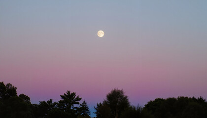 Worm Moon rising over trees at twilight, natural beauty
