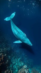 Naklejka premium Whale diving in the water