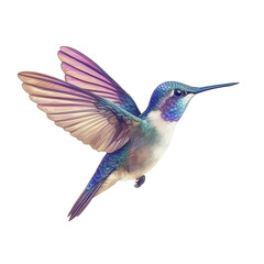 Vibrant Hummingbird in Flight Artistic Illustration