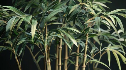 Lush Green Bamboo Plants: A Tranquil Garden Escape