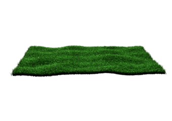 Rectangular Shape Green Grass Field 3D Illustration