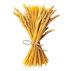 Delicious Spaghetti Food Dish on transparent background.