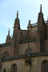 Fototapeta premium Catedral de Salamanca