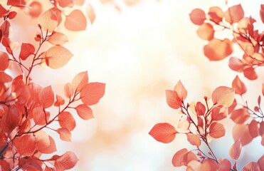 Fototapeta premium Softly Illuminated Autumn Leaves Against a Dreamy Background, Capturing the Essence of Fall with Warm Tones and Gentle Light Playing Through the Branches