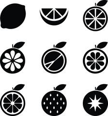 Citrus Fruit Icons Lemons, Oranges, Slices, Segments, and Variations
