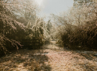 Winter frost on rural path with wooden fence