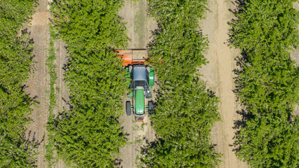 overhead view of tractor working in California almond tree orchard