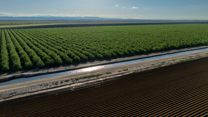 Aerial view of water canal splitting dense orchard and barren field