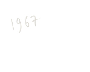 hand drawn and hand lettering