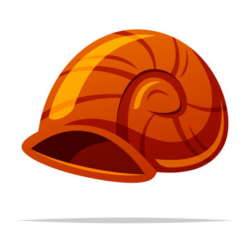 Empty snail shell vector isolated illustration