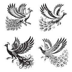 Obraz premium Vector Silhouette of a Flying Indian Peafowl Isolated on White Background