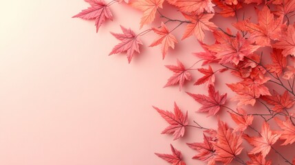Coral Maple Leaves Arranged On Pink Background