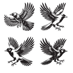 High-Quality Vector Silhouette of a Flying Jackdaw Isolated on White Background