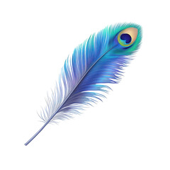 Obraz premium Vibrant Blue Peacock Feather Isolated on Black Background,