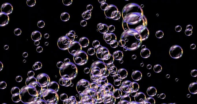 Lot Soap Bubbles fly up and floating. Realistic colorful soap bubble, glare. Powder, soap, detergent. Upward movement colorful soap bubbles on black. Air Bubbles for compositing. Graphic animation
