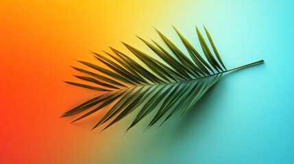 Obraz premium Single Palm Frond Against Vibrant Orange Blue Background
