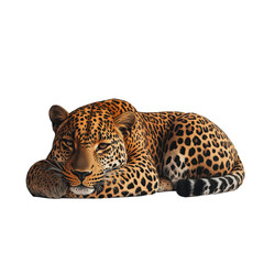 Naklejka premium Majestic Leopard Resting Wildcat Big Cat Powerful Predator