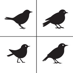 vector of black silhouette of bird