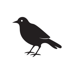 vector of black silhouette of bird