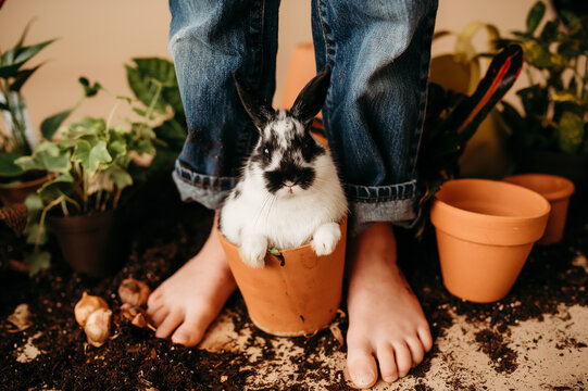 ppts snd dirt around feet and baby bunny