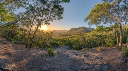 Fototapeta premium Sunrise panoramic view, forest trail, mountain backdrop, travel brochure