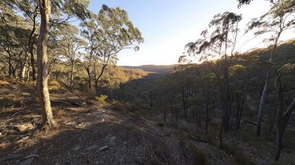 Sunrise Valley Hike Scenic Landscape Australia