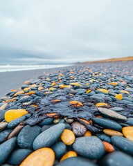 Obraz premium Oil spill impact on pebbles beach closeup coastal environment textured viewpoint environmental awareness