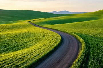 Obraz premium Serene Winding Road Through Lush Green and Yellow Fields