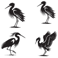 4  set of black Vector Silhouette of a Snowy Egret Isolated on White Background