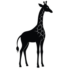 Obraz premium The giraffe appears lofty in this exceptional graphic image.