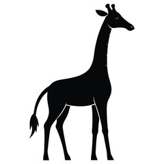 Fototapeta premium The giraffe appears tall in this high-quality graphic image.