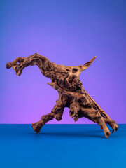 Naklejka premium Macro shot of natural wooden driftwood designed for aquariums or terrariums against a purple backdrop