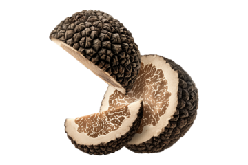 Fresh black Perigord truffles isolated on white transparent background, great for culinary and gourmet themes.