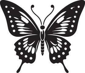 butterfly silhouette vector image.
