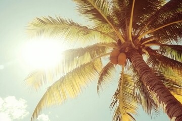 Fototapeta premium Sunlit Treetop of a Tropical Palm Tree with Vibrant Green Leaves and Bright Yellow Coconuts Against a Blue Sky in a Coastal Paradise Setting