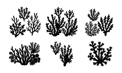 Fototapeta premium Various coral isolated on white