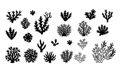 vector set of various coral